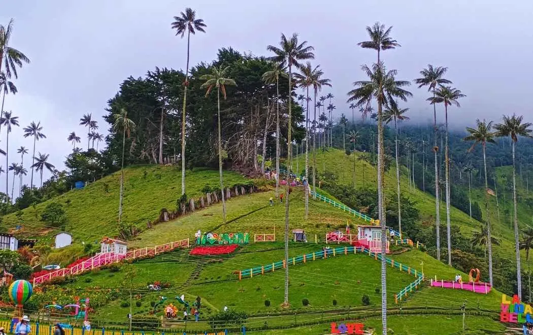 Pasadía al Valle del Cocora, Salento y Filandia desde Ibagué