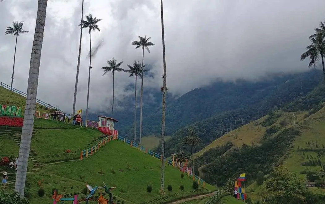 Valle del Cocora, Eje Cafetero